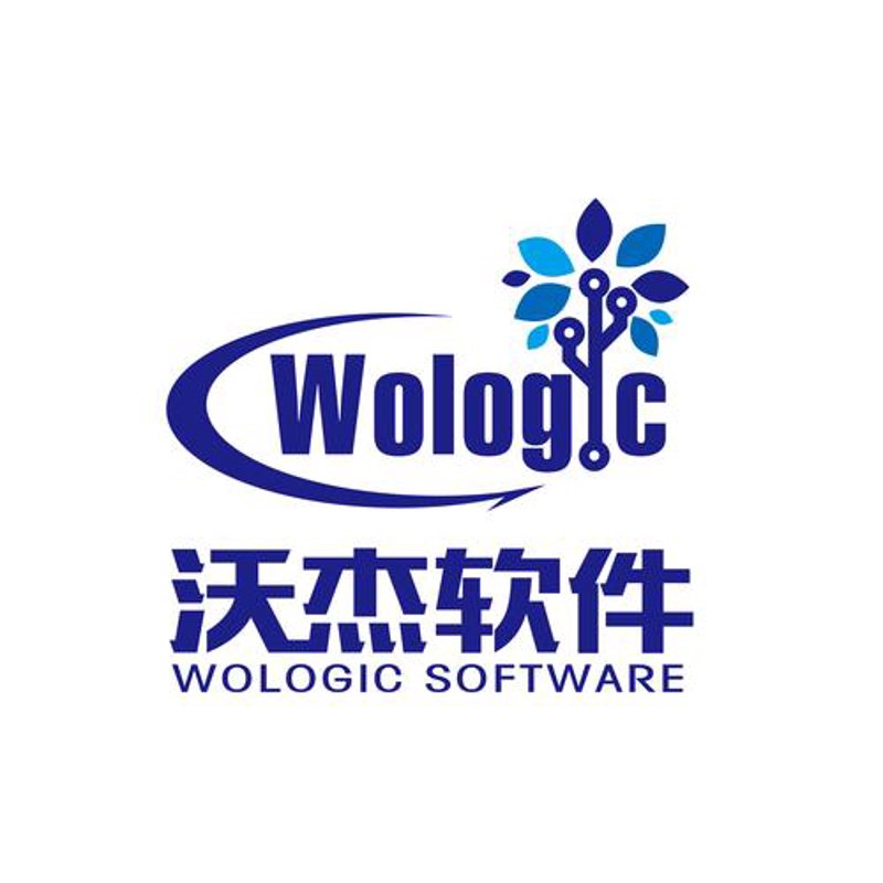 软件开发公司：构建科技梦想的新航程